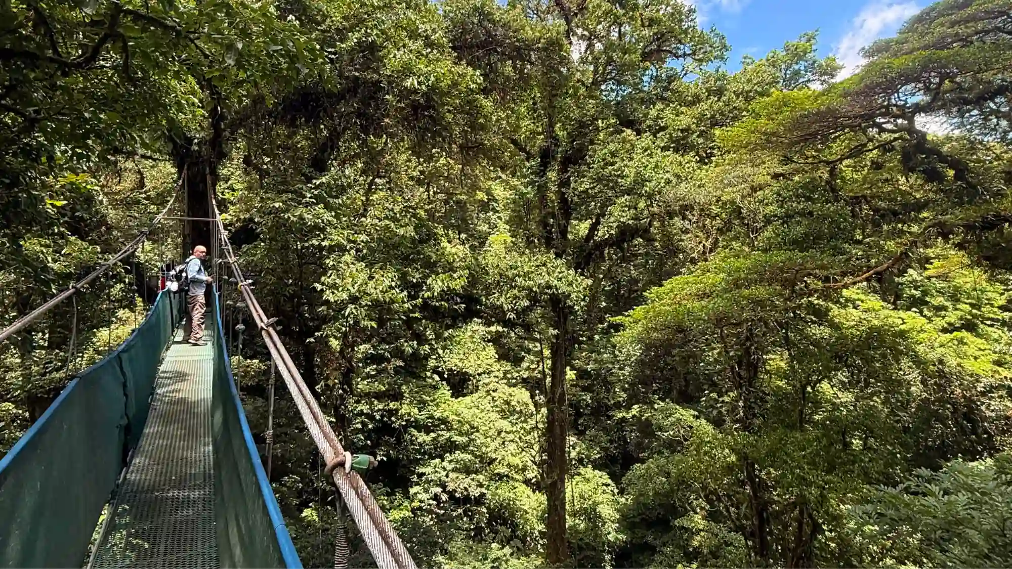 Private hanging bridges canopy walk in the Bijagua rainforest near Rio Celeste, Costa Rica