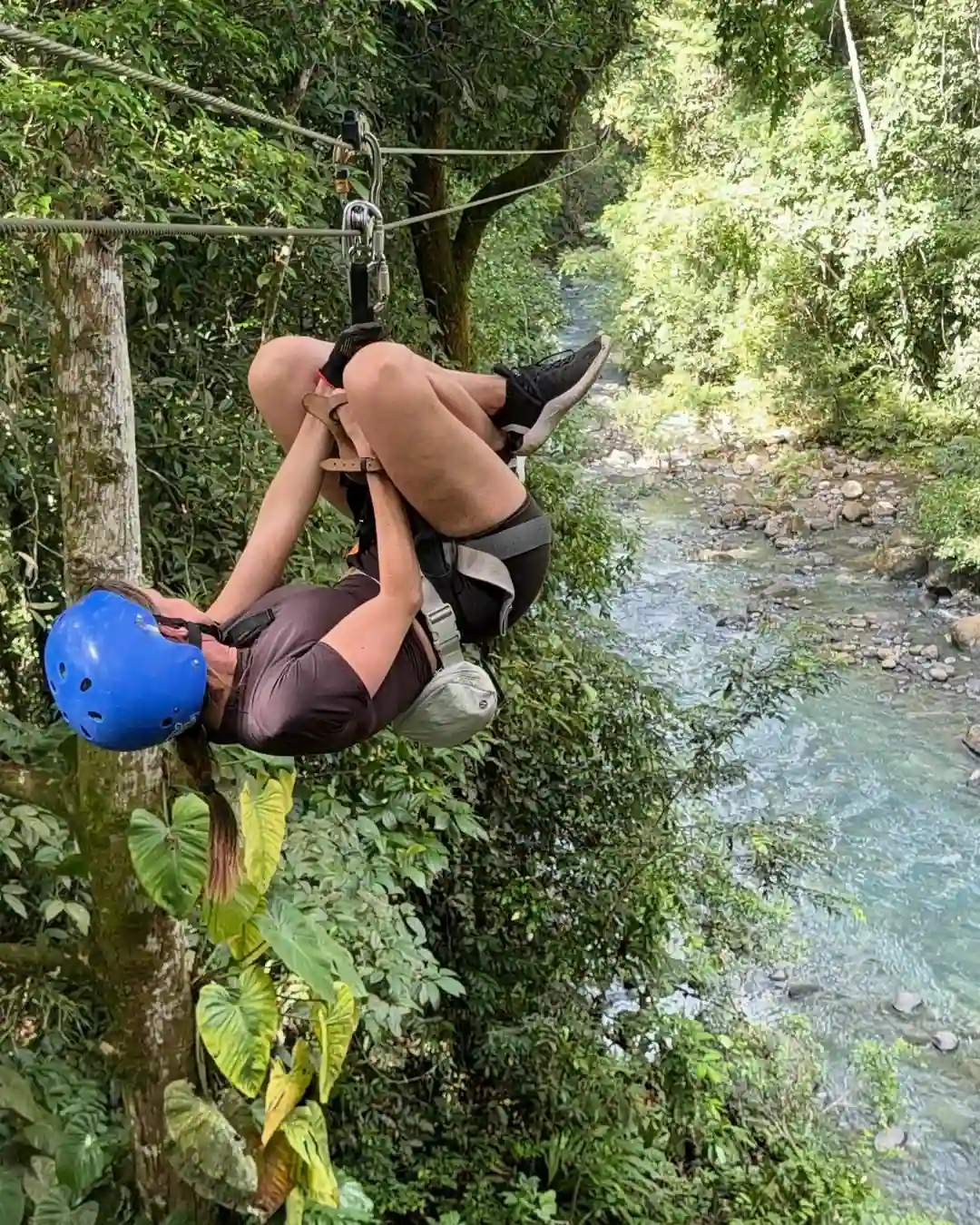 Private Ziplining Canopy Adventure fly over rainforest