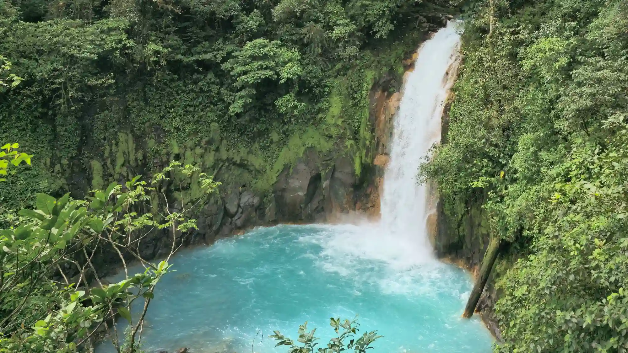 Guests on a private guided Rio Celeste waterfall hike in Tenorio Volcano National Park