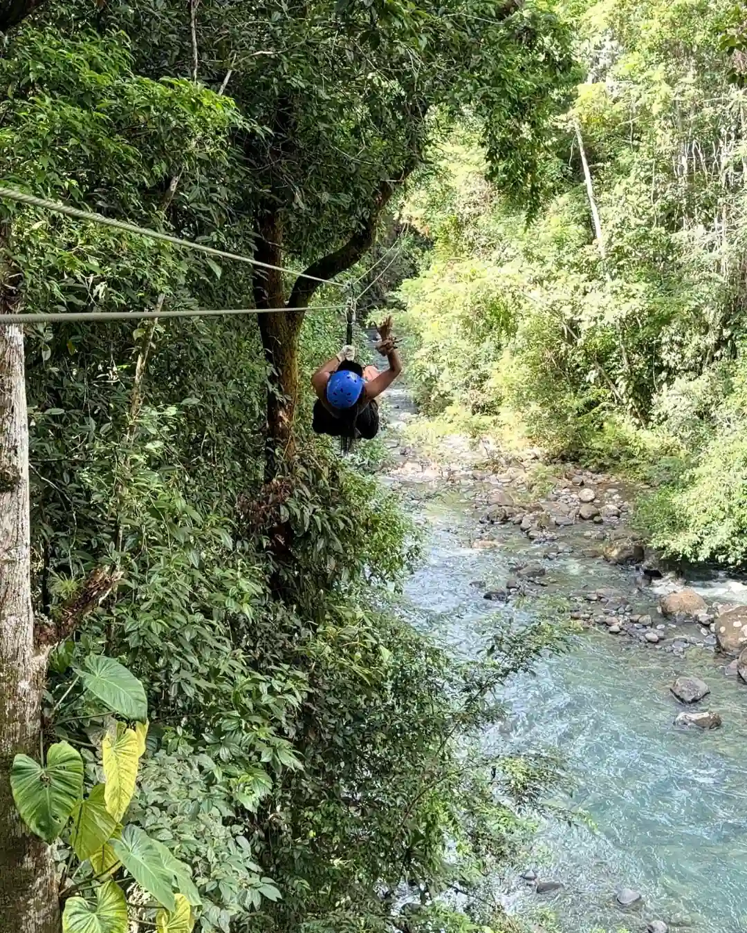 Thrill seeker flying on a zipline cable directly crossing over the turquoise blue Rio Celeste river