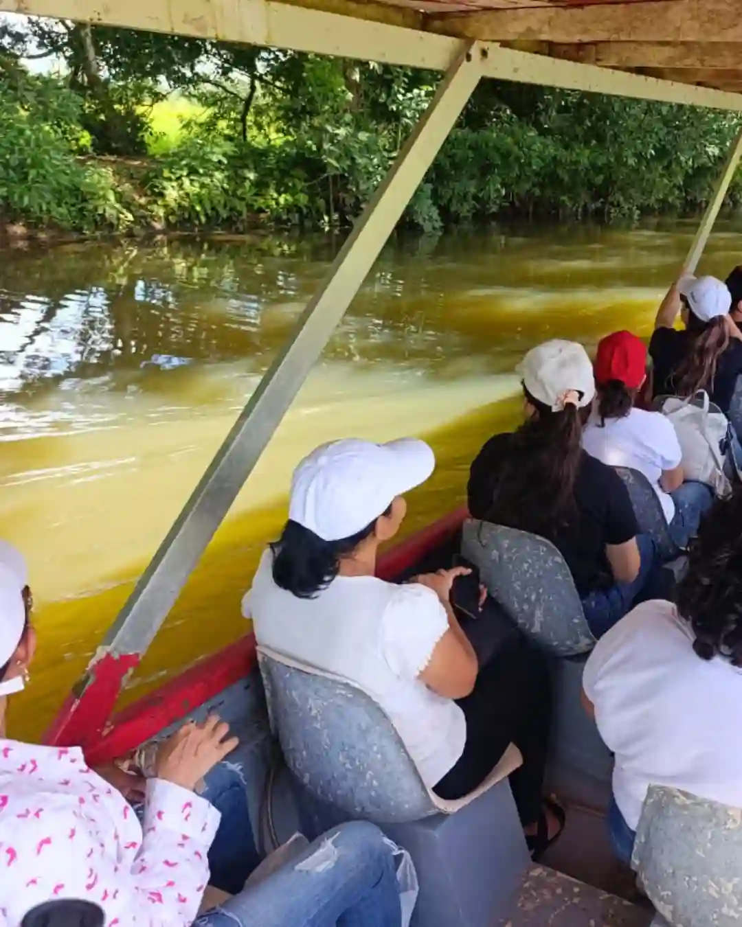 Private covered safari boat tracking exotic bird species down the Rio Frio channels