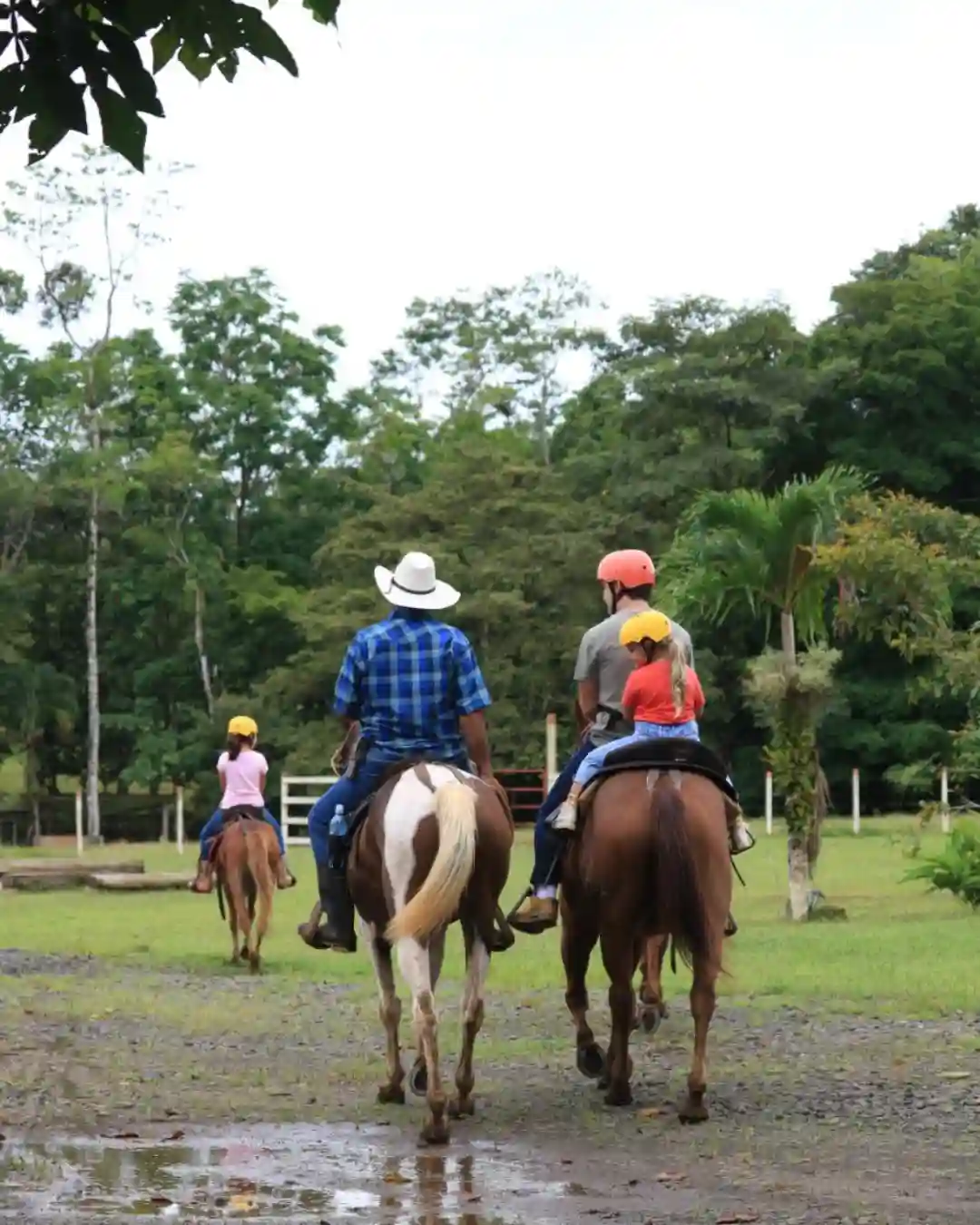 Private horseback riding tour near Rio Celeste, Costa Rica